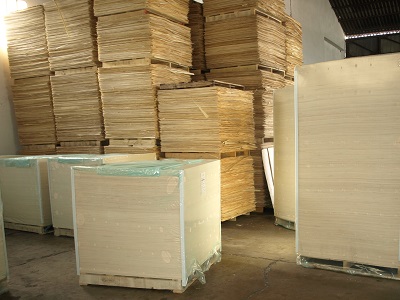 Palet de tableros contrachapados cortados y lijados 1