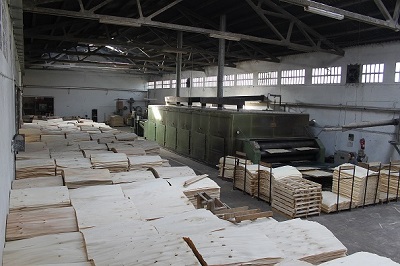 Secado de las laminas cortadas del desenrollo