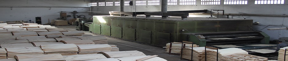 Plywood production